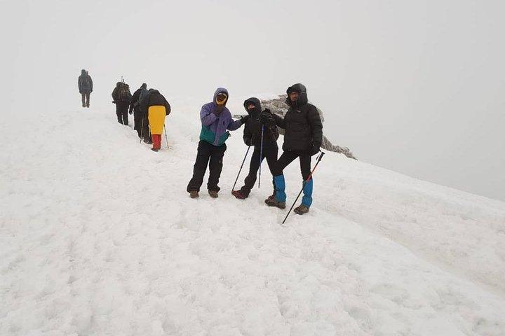 Kilimanjaro klättring; 7 dagars Lemosho-rutt