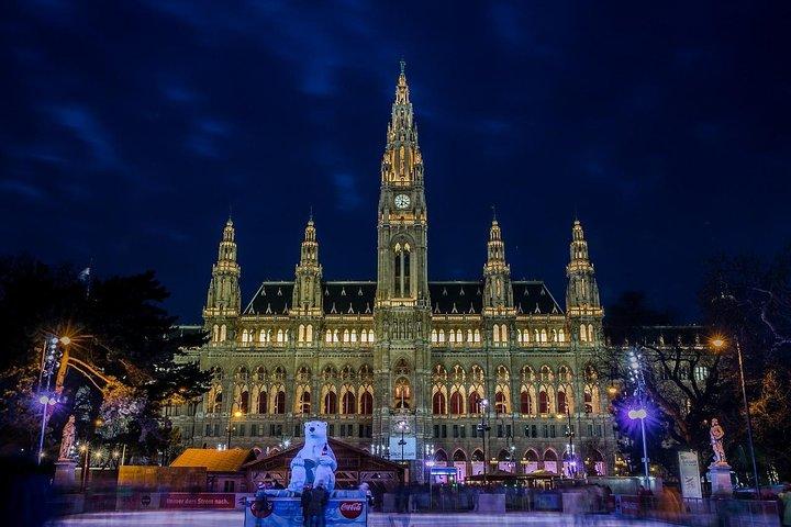 Private Wien Nachtlichter & Wahrzeichen Tour