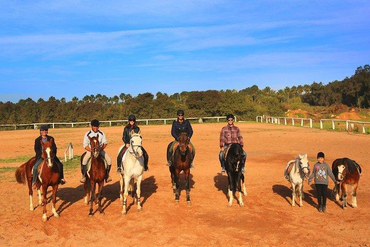 Marrakech Equitazione