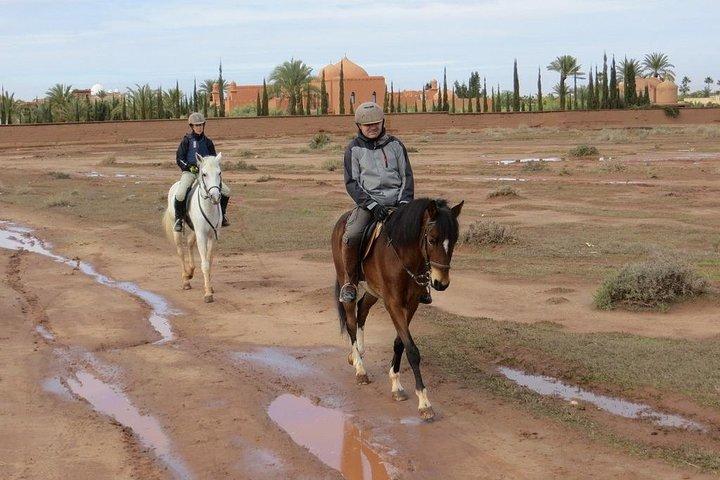 Marrakech Equitazione