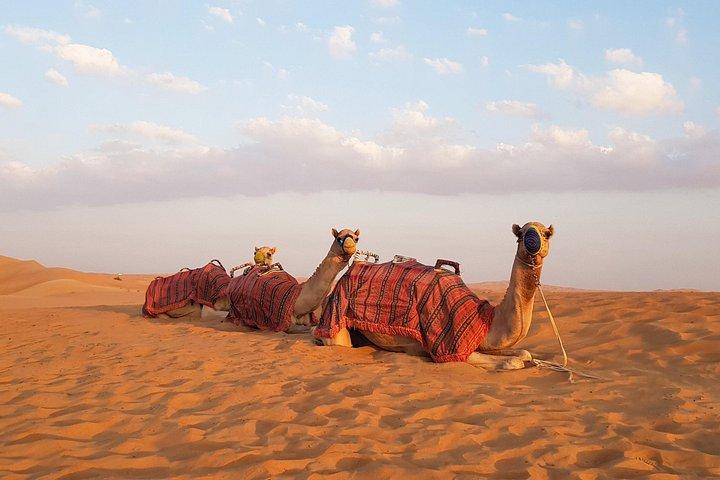 Desert Safari Experience - Arabian Safari