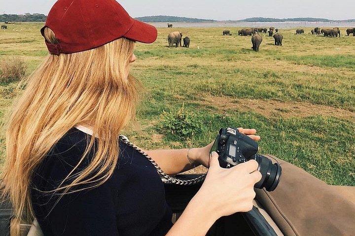 スリランカ旅行（10日間、9泊）、ドライバー、車両、H / B宿泊施設