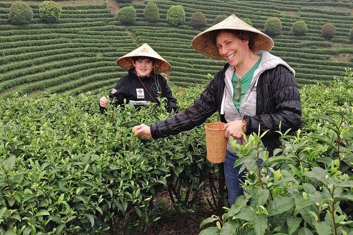 Excursión de medio día a la ciudad de Guilin: parque Elephant Hill y plantación de té