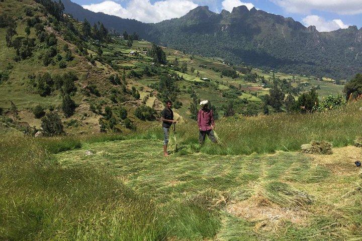 Menz Guassa Trekking 5 Days Tour Package