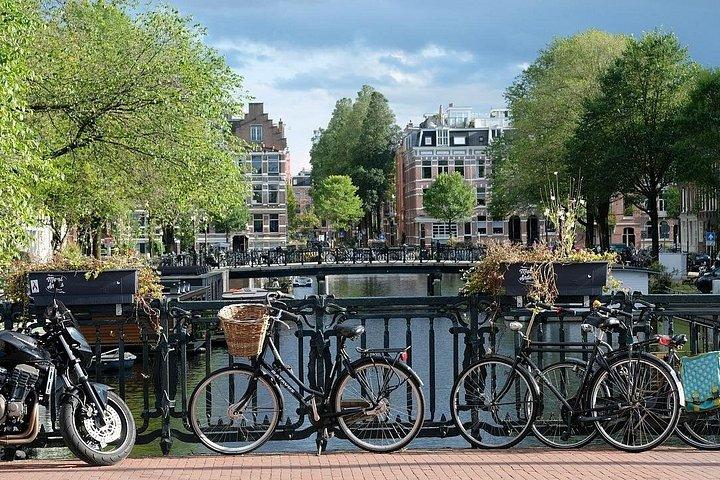Privat & tilpasselig halvdags sightseeingtur i Amsterdam