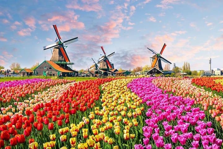 From Amsterdam: Private Tour to Zaanse Schans, Volendam & Marken