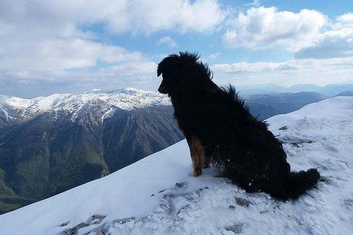 Schneeschuhwandern in den Olympischen Bergen - Ganztagestour ab Sarajevo