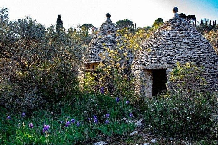 Hilltop villages in Luberon-7 hours