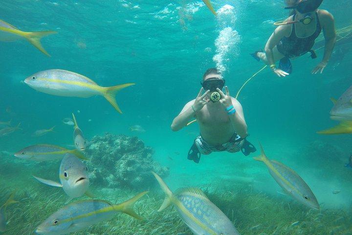 3 ADVENTURES: Sailing Catamaran Cruise - Hooka Diving - Snorkeling