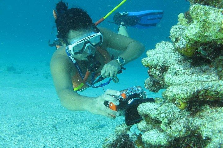 3 ÄVENTYR: Segling Katamaran Cruise - Hooka Diving - Snorkling