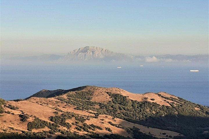 Gibraltar Privatreise ab Marbella oder Malaga