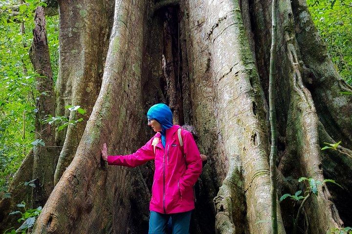 (Private)Nature History Walk
