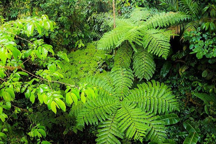 (Private)Nature History Walk