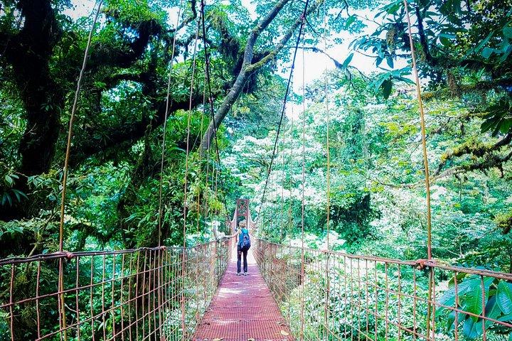 (Private)Nature History Walk