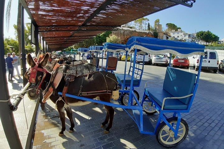 Mijas Pueblo group walking Tour