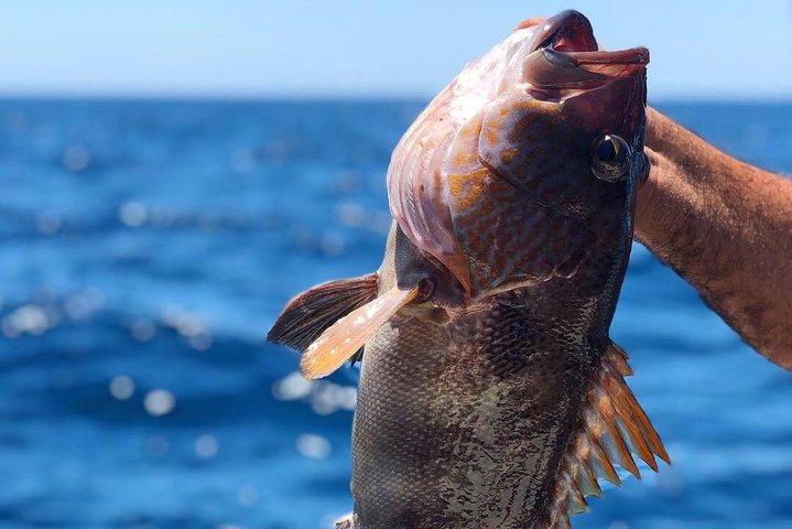 Charter de meio dia para pesca matinal