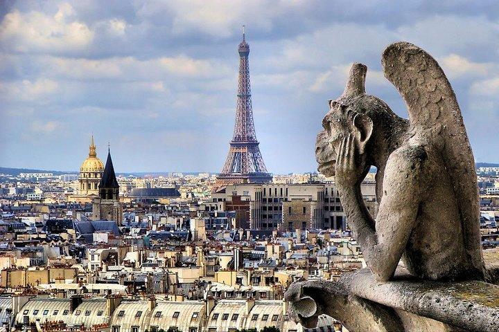Tour de Paris privé et croisière touristique sur la Seine