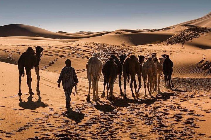 Desde Ouarzazate : Opción de Tour Merzouga Sahara de 3 días que termina en Fez