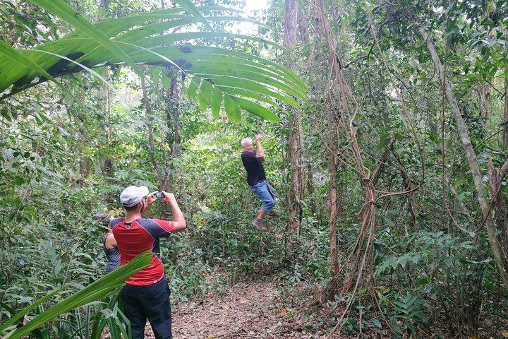 Excursión de trekking por la selva y piragüismo en los lagos gemelos de Bali desde Ubud