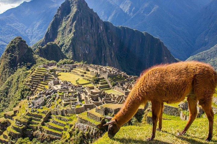 Machu Picchu in 1 day from CUSCO
