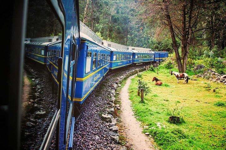 Machu Picchu in 1 day from CUSCO