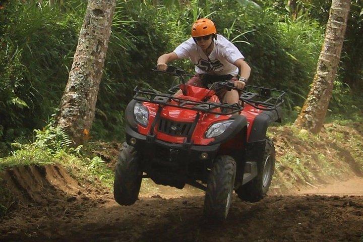 Bali ATV Quad Bike Adventure 250cc - シングルまたはタンデムバイク