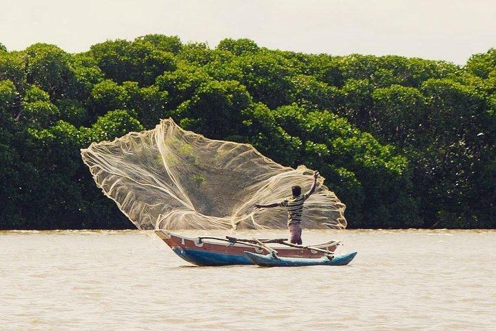 Visite privée de 6 jours autour du Sri Lanka