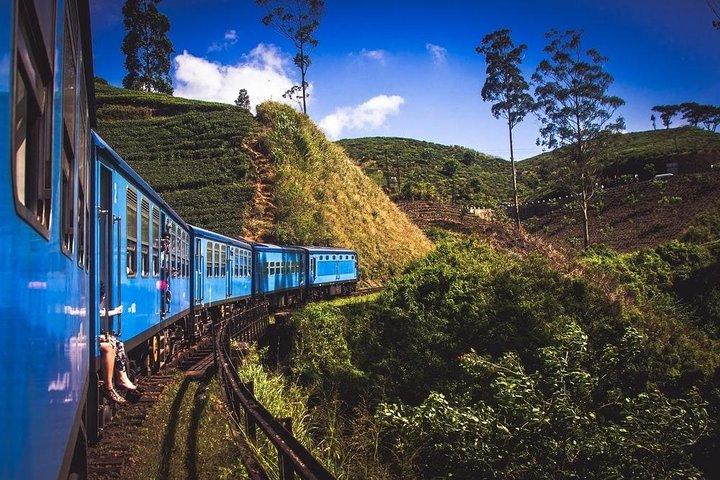 Visite privée de 6 jours autour du Sri Lanka