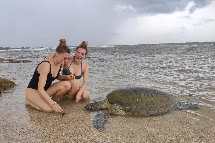 14 dagars tur i Sri Lanka (Hotell med frukost och lyxbil)