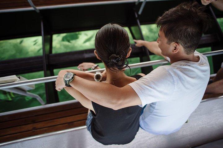 Green Island-dagtrip vanuit Cairns met Beaches-transfers