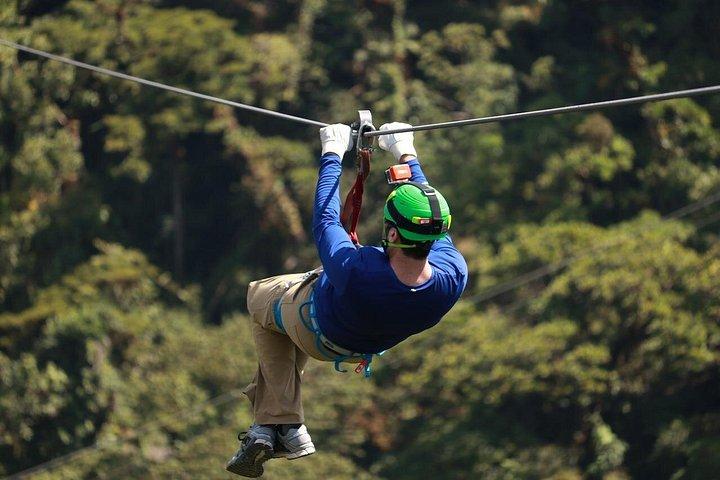 アッド国立公園を含むケープタウンからの5日間のガーデンルート共有ツアー