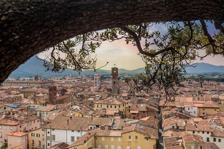 Private Autofahrt von Florenz nach Lucca und Pisa (8 h)