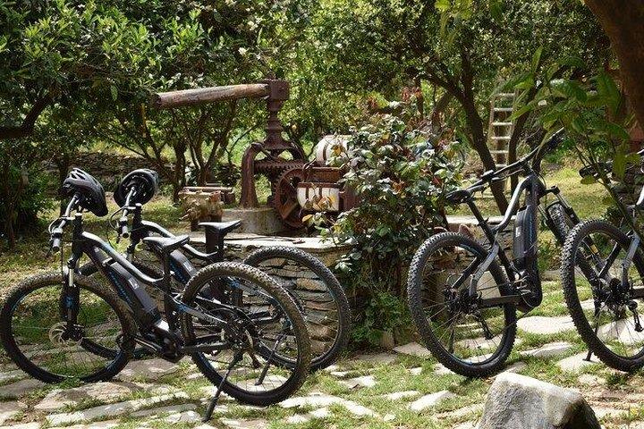 Tour Kea Food-e-bike
