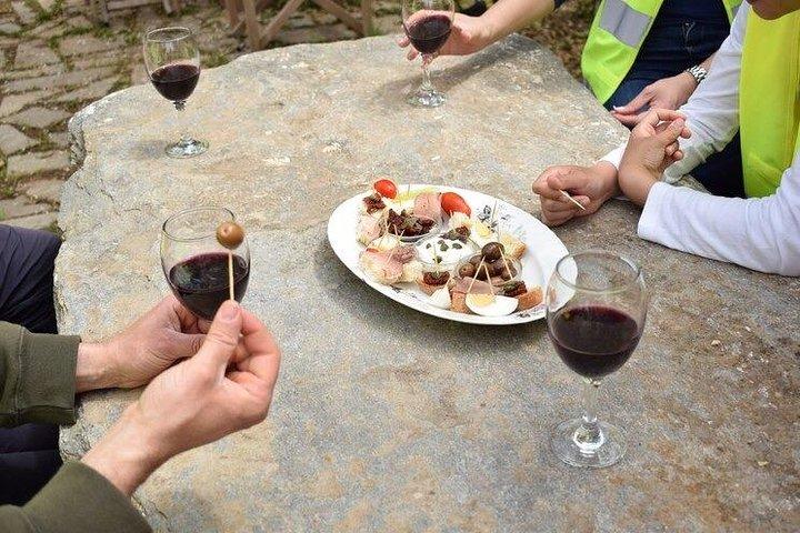 Tour Kea Food-e-bike