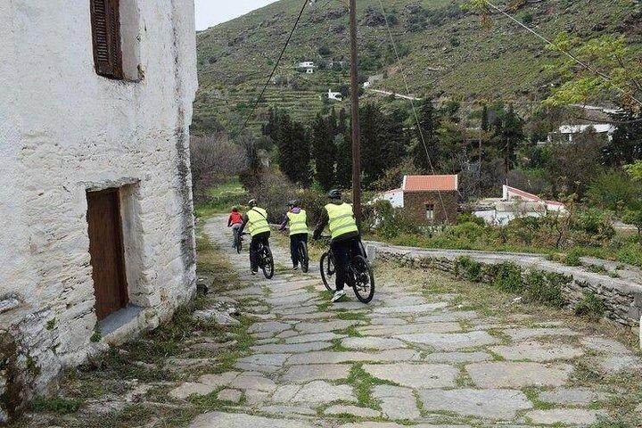 Tour Kea Food-e-bike