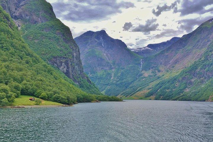プライベートガイドツアー：ノルウェーの中心部-バイキングスペシャル、8〜9時間-夏