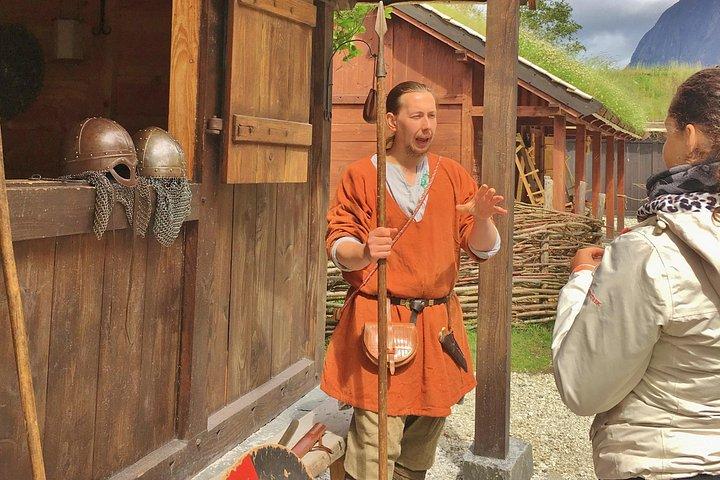 プライベートガイドツアー：ノルウェーの中心部-バイキングスペシャル、8〜9時間-夏