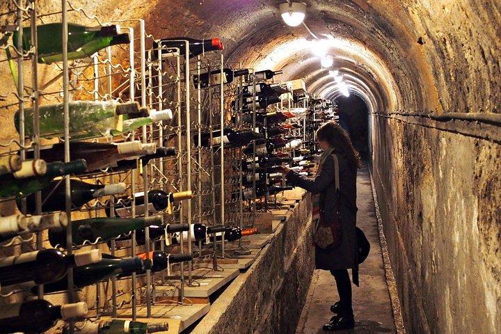 フード ラバー ツアーによるリスボンの食べ物と地元の飲み物の夜のツアー