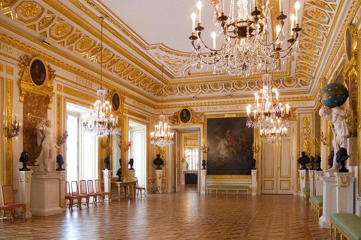 Skip-the-line Warszawa Royal Castle Privat guidet tur