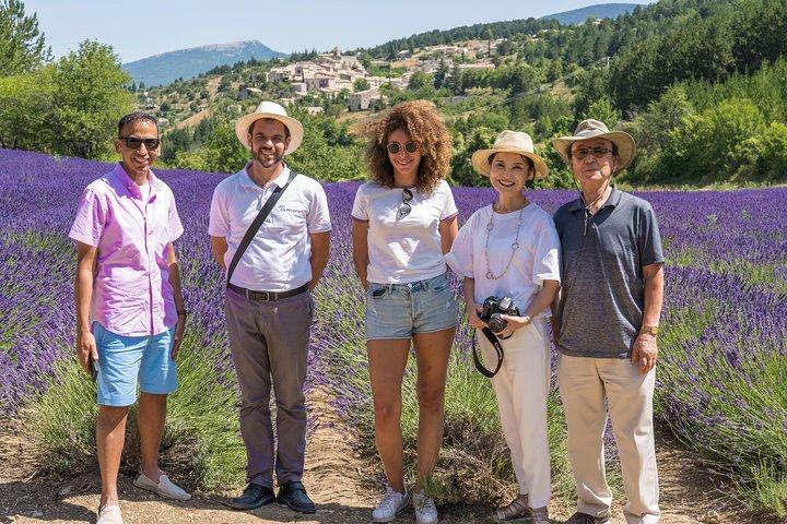 Tour per piccoli gruppi di lavanda a Valensole da Marsiglia