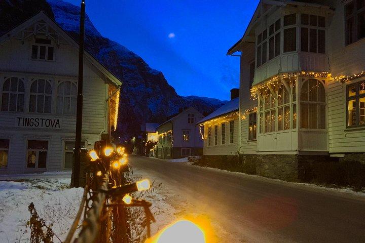 プライベートガイドツアー：ノルウェーの中心部-バイキングスペシャル、8〜9時間-冬