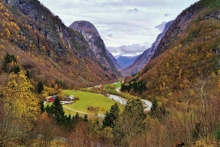 TOUR GUIADO PRIVADO: O Coração da Noruega - Viking Special, 8-9 horas - INVERNO