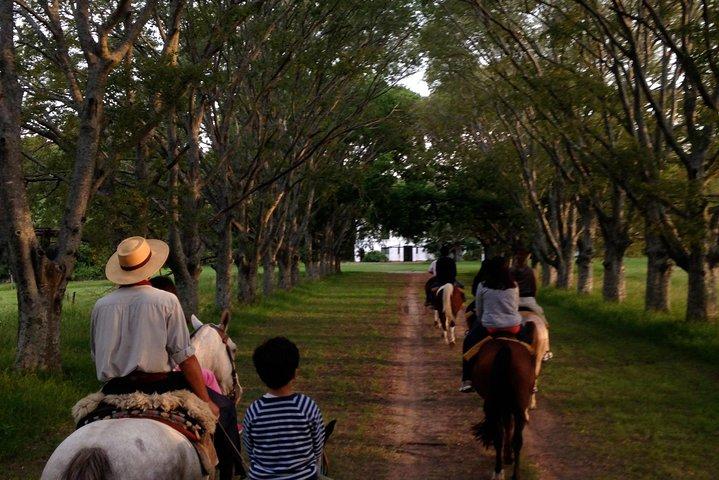 Estancia Day i Buenos Aires, Gauchos festturné