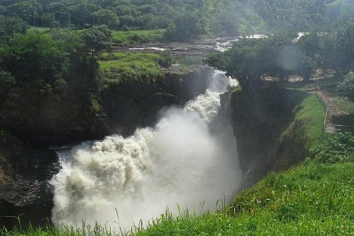 7 Days Group Game viewing, schimpans & Gorilla trekking