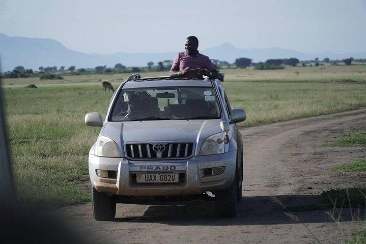 7 Days Group Game viewing, schimpans & Gorilla trekking
