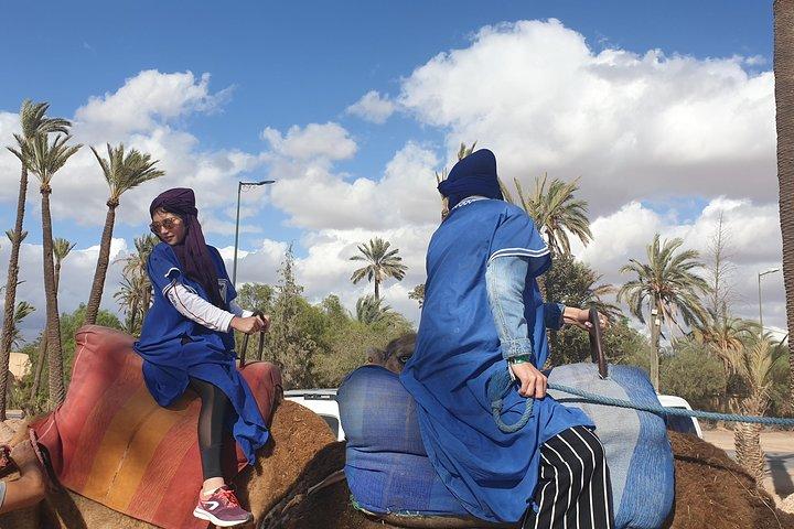 Marrakech Camel Ride Experience med upphämtning