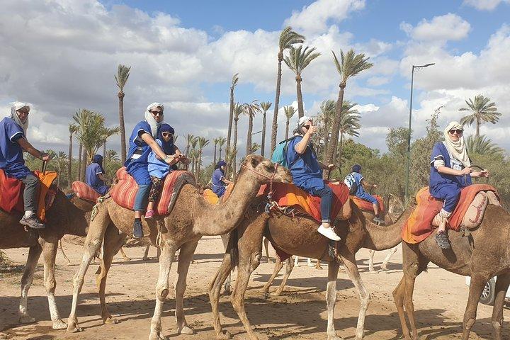 Marrakech Camel Ride Experience med upphämtning