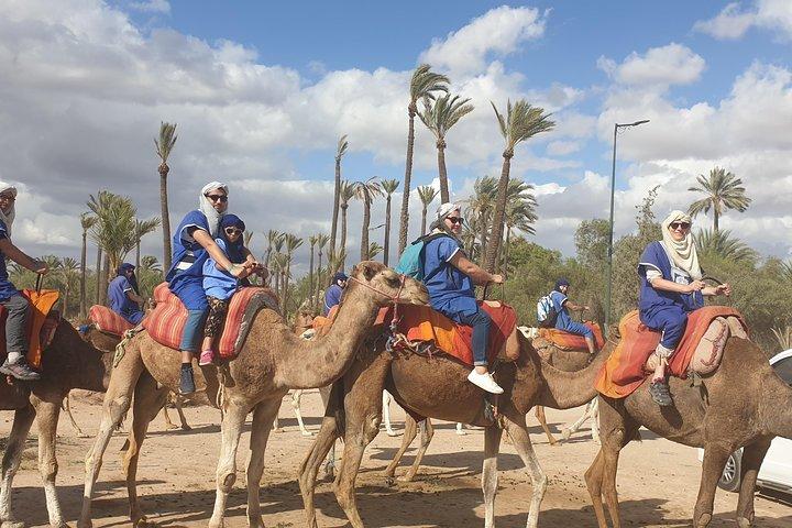 Marrakech Camel Ride Experience med upphämtning