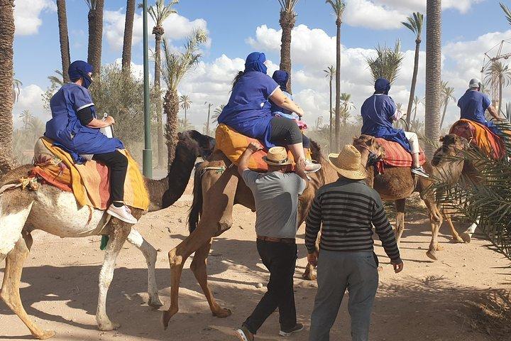 Marrakech Camel Ride Experience med upphämtning