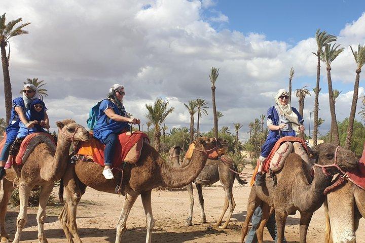Marrakech Camel Ride Experience med upphämtning